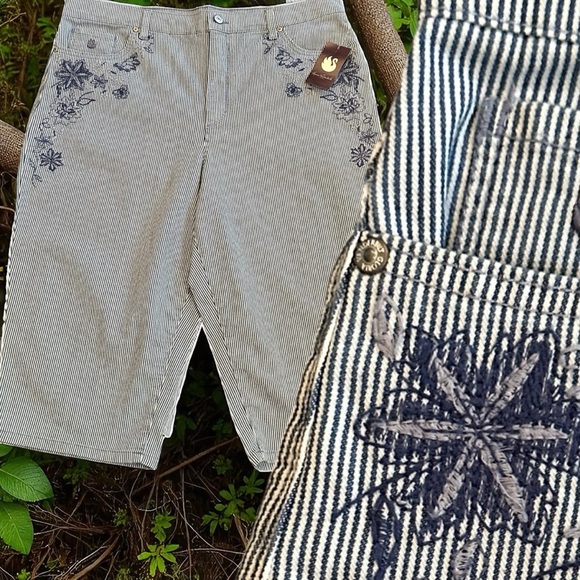 Gloria Vanderbilt NWT High Rise Blue Striped Embroidered Floral Shorts Size 16 - Picture 1 of 8